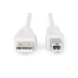 https://compmarket.hu/products/151/151936/assmann-usb-2.0-connection-cable-type-a-b-1-8m-beige_2.jpg