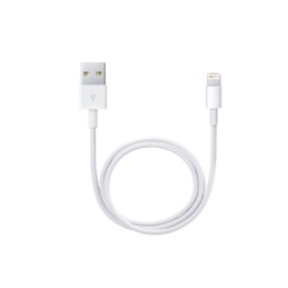 https://compmarket.hu/products/75/75996/apple-lightning-usb-kabel-0-5m_1.jpg