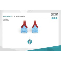 https://compmarket.hu/products/149/149850/digitus-cat5e-u-utp-patch-cable-2m-red_5.jpg