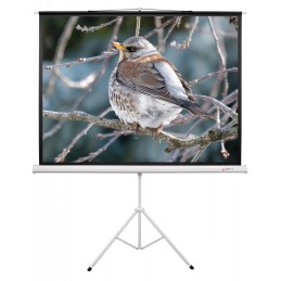https://compmarket.hu/products/125/125776/funscreen-matt-white-tripod-150x200-cm-format-4-3_1.jpg