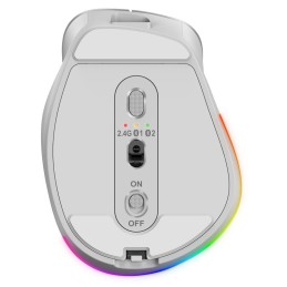 Genius Ergo 9000S Pro Wireless mouse Silver