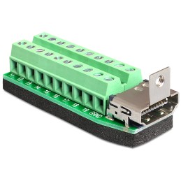 DeLock Adapter HDMI female  Terminal Block 20pin