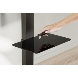 Gembird TVS-86ST-01 TV floor stand 43"-86" Black