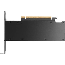 PNY RTX PRO 2000 Blackwell 16GB DDR7