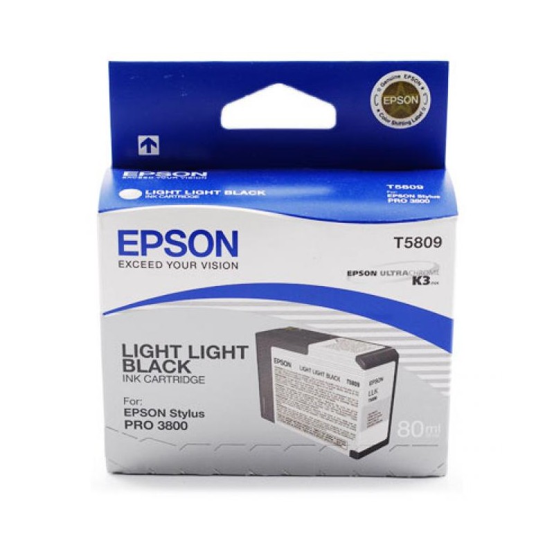 Epson T5809 light light black eredeti tintapatron