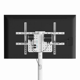 Gembird TVS-86TR-01-W TV floor stand  37"-86" White