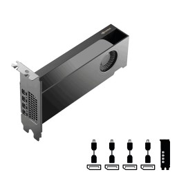 PNY RTX PRO 2000 Blackwell 16GB DDR7