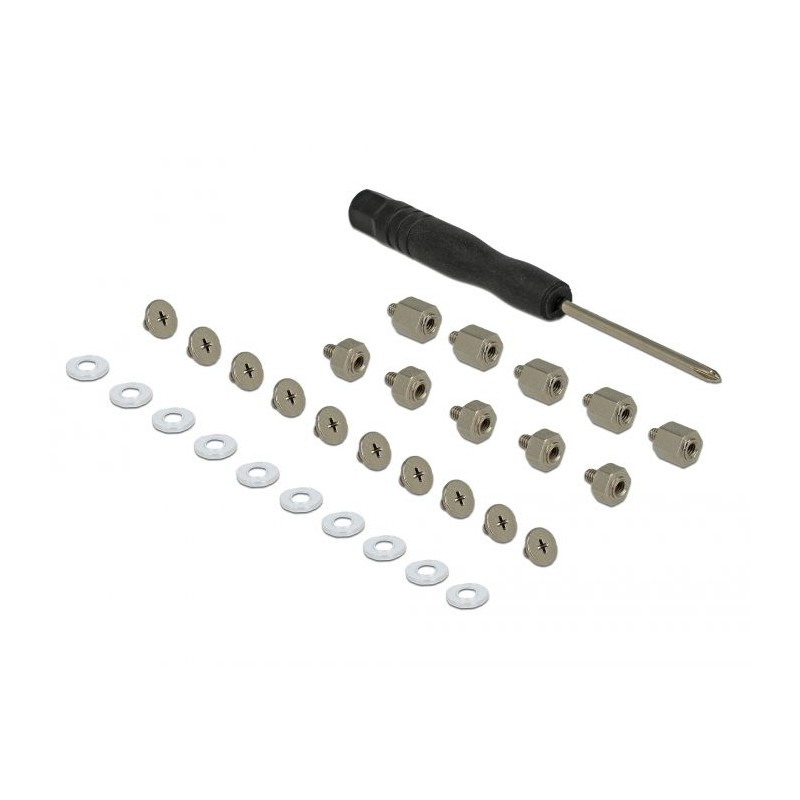 DeLock Mounting Kit 31 pieces for M.2 SSD / Module