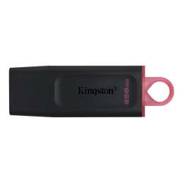 Kingston 256GB DataTraveler Exodia Black/Pink