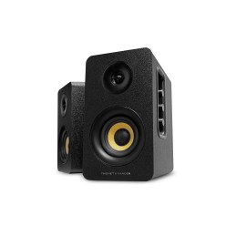 Thonet & Vander Kumpel 2.0 speakers Black