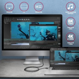 AXAGON BUCM4X-CM05AB NEWGEN USB-C  USB-C 4 Gen 3x2 Cable 0,5m Black