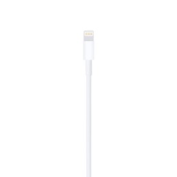 Apple Lightning to USB Cable 1m White