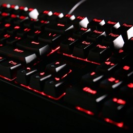 https://compmarket.hu/products/147/147647/redragon-surara-pro-red-led-backlit-mechanical-gaming-keyboard-with-ultra-fast-v-optic