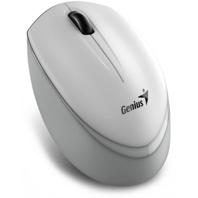 https://compmarket.hu/products/223/223124/genius-nx-7009-wireless-mouse-grey_1.jpg