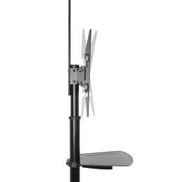 https://compmarket.hu/products/189/189689/act-ac8370-mobile-tv-monitor-floor-stand-37-up-to-70-vesa_3.jpg
