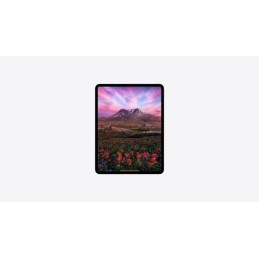 https://compmarket.hu/products/244/244054/apple-ipad-pro-2024-13-256gb-wi-fi-cell-with-standard-glass-space-black_2.jpg