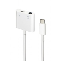 Gembird A-CM-3.5FP-01  USB type-C plug to stereo 3.5 mm audio adapter cable with extra power socket white
