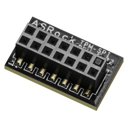 ASRock TPM Modul