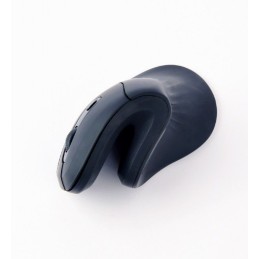 Gembird MUSW-ERGO-03 Mouse Black