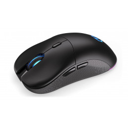 Endorfy GEM Plus Wireless Black