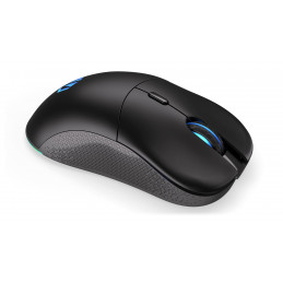 Endorfy GEM Plus Wireless Black