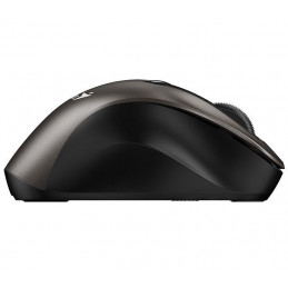 Genius Ergo 9000S Wireless mouse Champagne Titanium