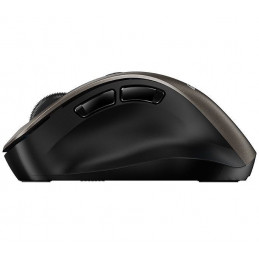 Genius Ergo 9000S Wireless mouse Champagne Titanium