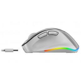 Genius Ergo 9000S Pro Wireless mouse Silver