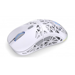 Endorfy LIV Plus Wireless Mouse Onyx White