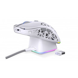 Endorfy LIV Plus Wireless Mouse Onyx White