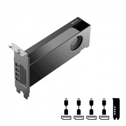 PNY RTX PRO 2000 Blackwell 16GB DDR7