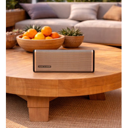 Thonet & Vander Frei Topp Bluetooth Portable Speaker Gold