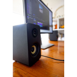 Thonet & Vander Kumpel 2.0 Bluetooth Speakers Black