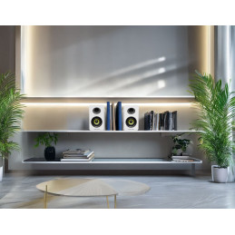 Thonet & Vander Kumpel 2.0 speakers White