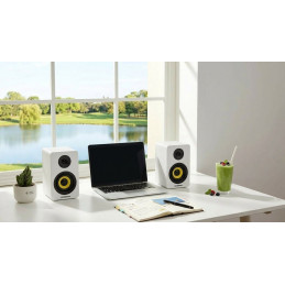 Thonet & Vander Kumpel 2.0 speakers White