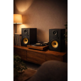 Thonet & Vander Kugel Gen 2 BT 2.0 speaker Black