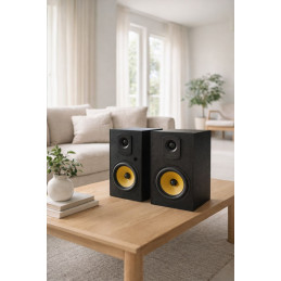Thonet & Vander Kugel Gen 2 BT 2.0 speaker Black
