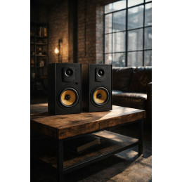 Thonet & Vander Kugel Gen 2 BT 2.0 speaker Black