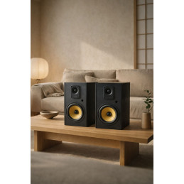 Thonet & Vander Kugel Gen 2 BT 2.0 speaker Black