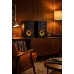 Thonet & Vander Kugel Gen 2 BT 2.0 speaker Black