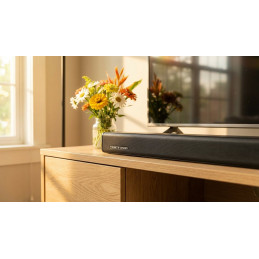 Thonet & Vander Gut Gen2 soundbar Matte Metallic Grey