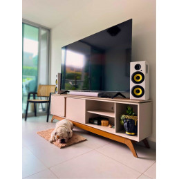 Thonet & Vander Hoch BT Gen2 2.0 Bluetooth White