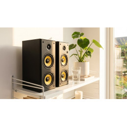 Thonet & Vander Hoch BT Gen2 2.0 Bluetooth Black