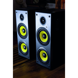 Thonet & Vander Hoch BT Gen2 2.0 Bluetooth Black