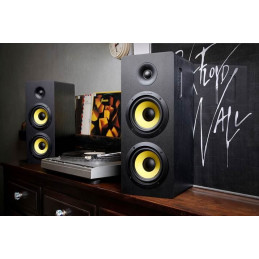 Thonet & Vander Hoch BT Gen2 2.0 Bluetooth Black