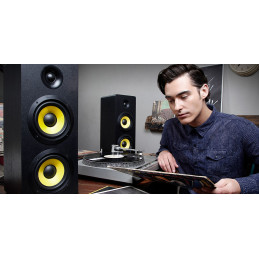 Thonet & Vander Hoch BT Gen2 2.0 Bluetooth Black