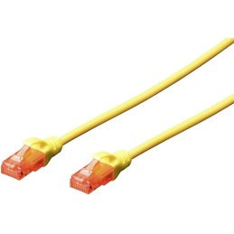 https://compmarket.hu/products/136/136725/digitus-cat6-utp-patch-kabel-1m-yellow_1.jpg