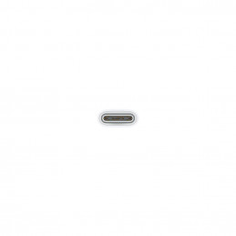 Apple USB-C Woven Charge Cable 1m White BULK