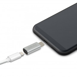 Delight USB Type-C - iPhone Lightning adapter Silver