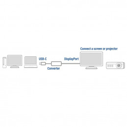 ACT AC7030 USB-C to DisplayPort 4K  Silver